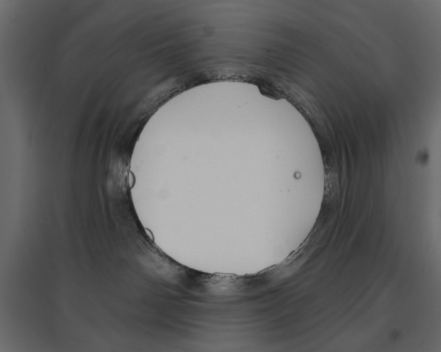 X0000096970142200803071015