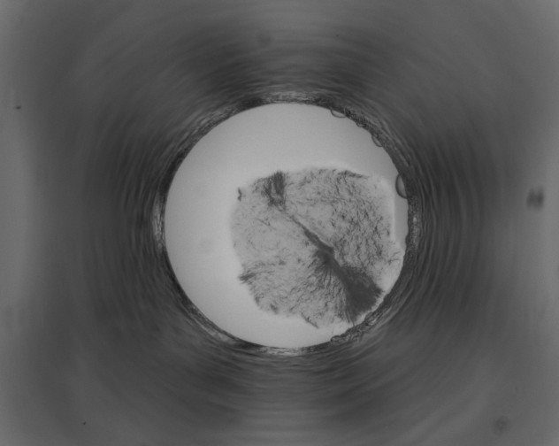 X0000096970143200803071015