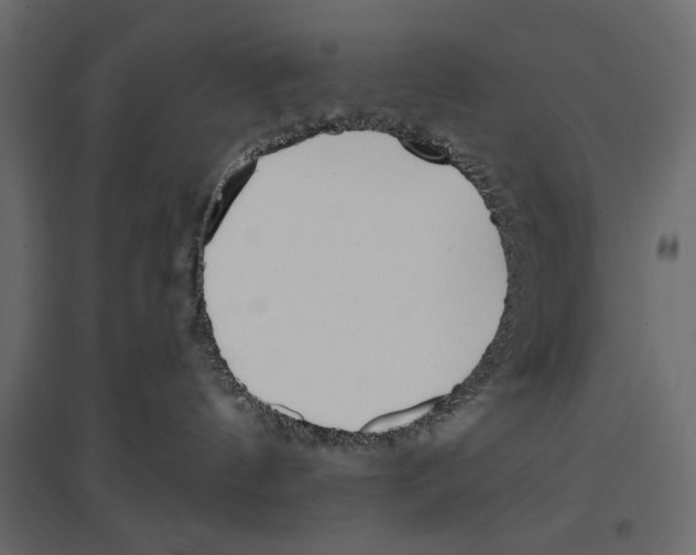 X0000096970144200803071015