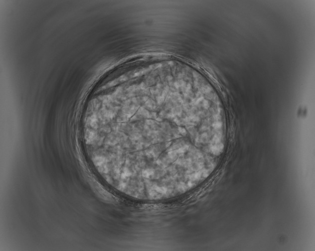 X0000096970145200803071014