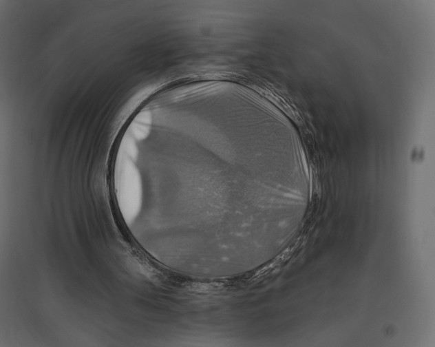 X0000096970147200803071014