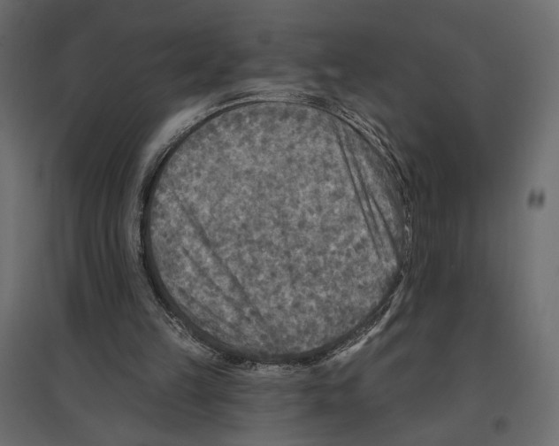 X0000096970149200803071014
