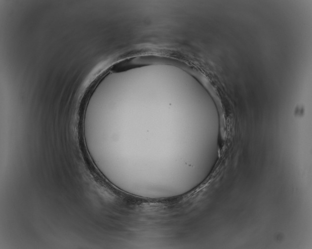 X0000096970150200803071014