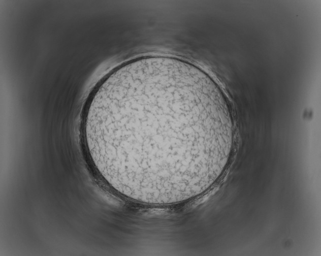 X0000096970151200803071014