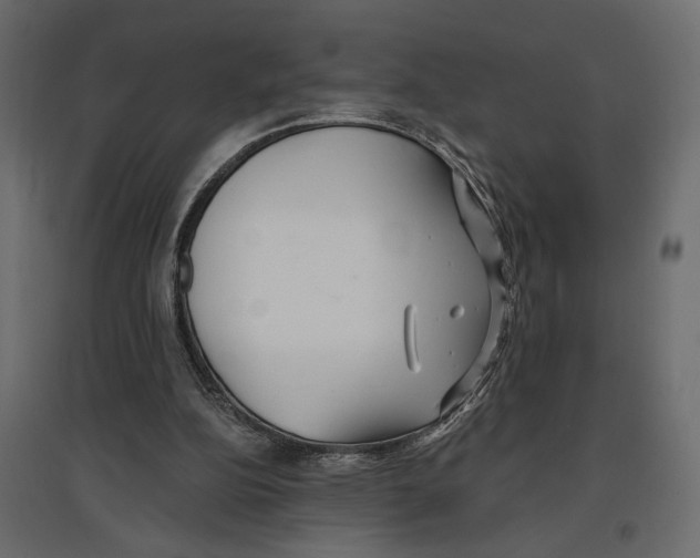 X0000096970152200803071014