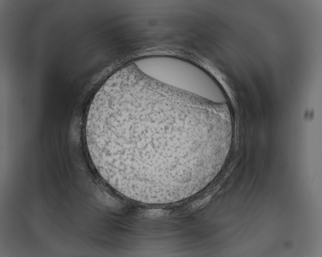 X0000096970153200803071014