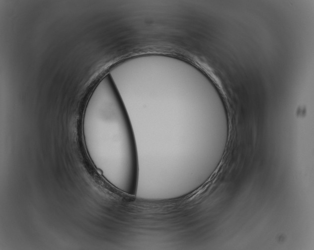 X0000096970154200803071014