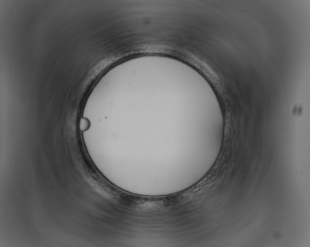X0000096970155200803071014