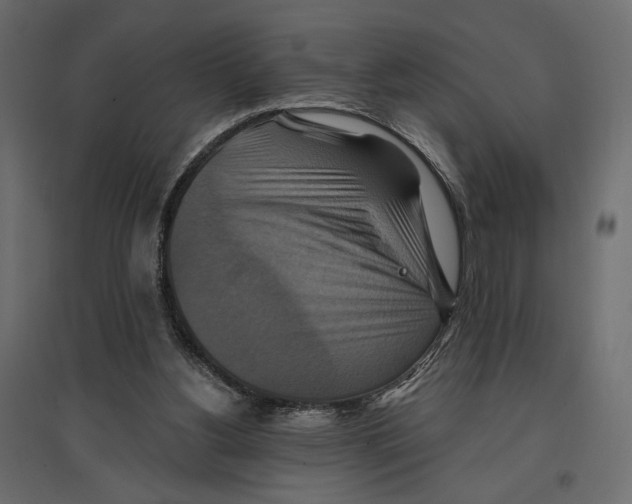 X0000096970156200803071014