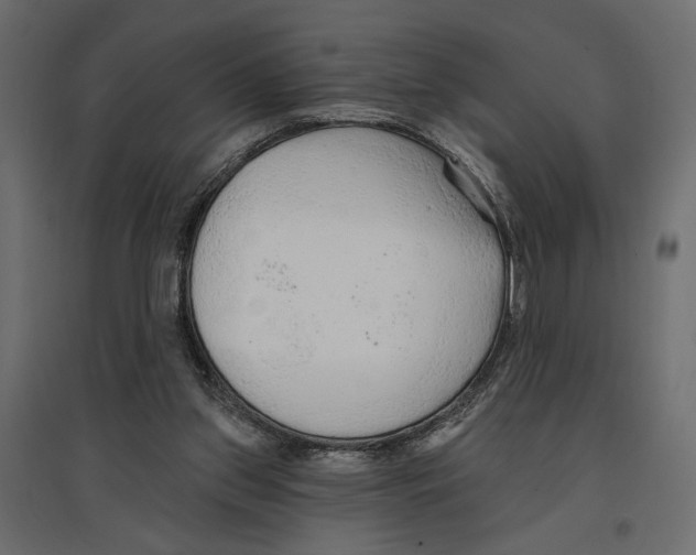 X0000096970157200803071014