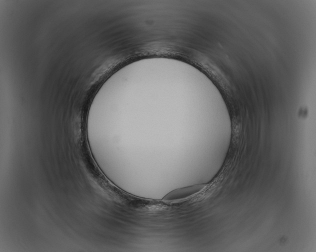 X0000096970158200803071014