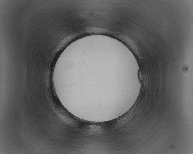 X0000096970159200803071014