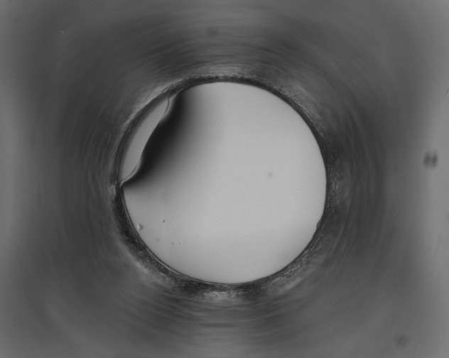X0000096970160200803071014