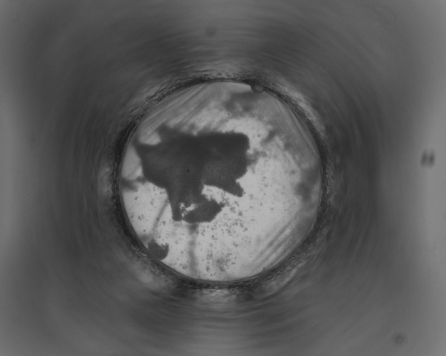 X0000096970161200803071014