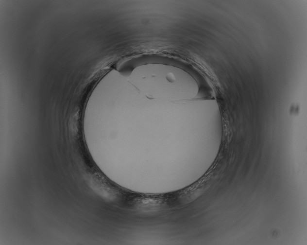 X0000096970163200803071014