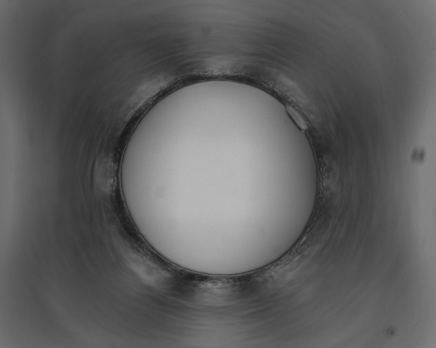 X0000096970164200803071014