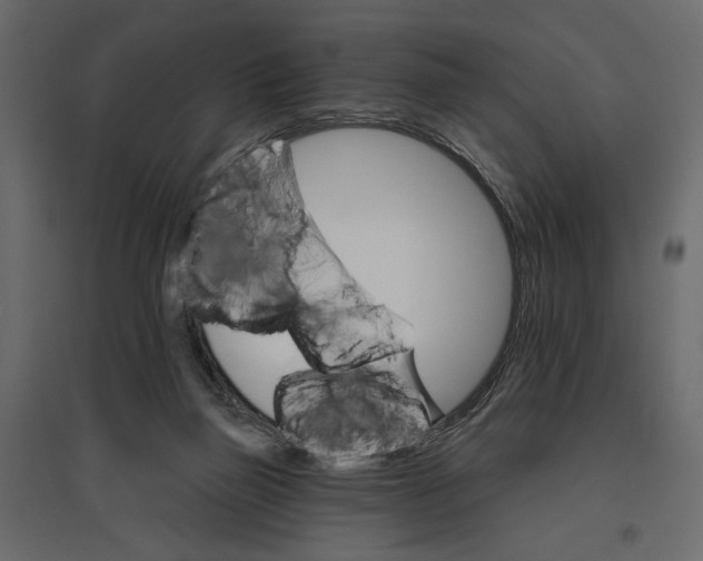 X0000096970165200803071014
