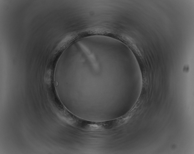 X0000096970167200803071014