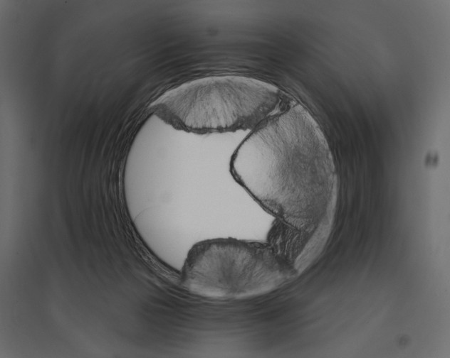 X0000096970169200803071014