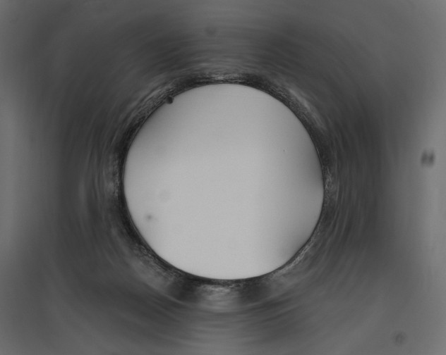 X0000096970170200803071014