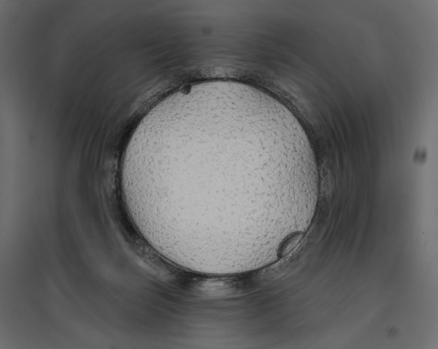 X0000096970171200803071014