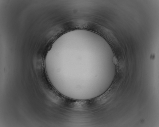 X0000096970172200803071014
