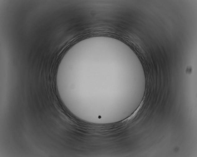 X0000096970174200803071014