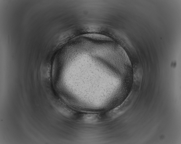 X0000096970175200803071015