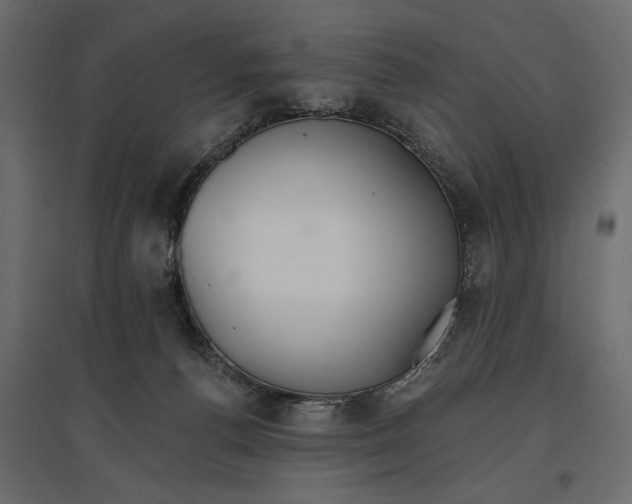 X0000096970176200803071015