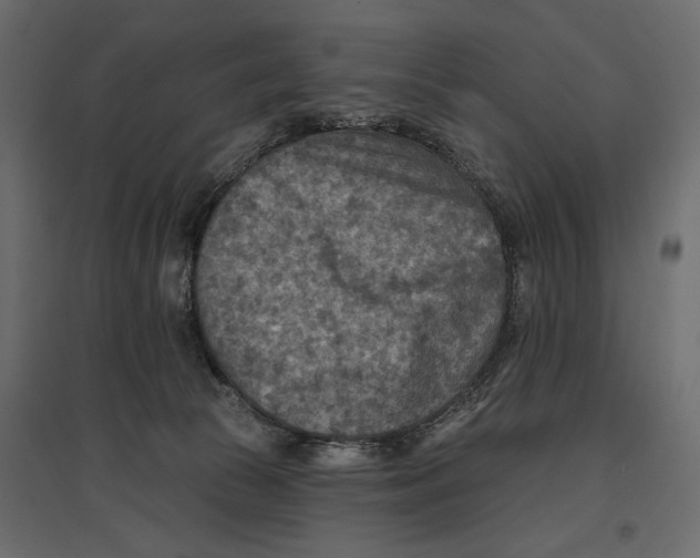 X0000096970177200803071015