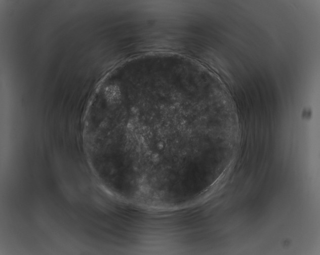 X0000096970179200803071015