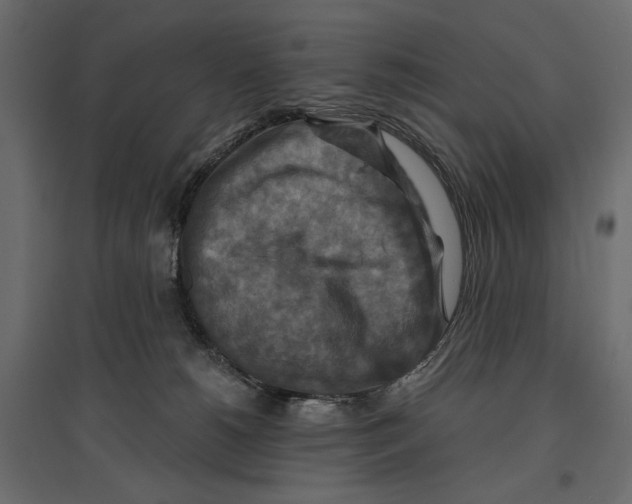 X0000096970180200803071015