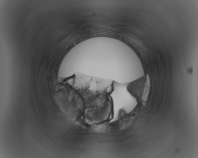 X0000096970181200803071015
