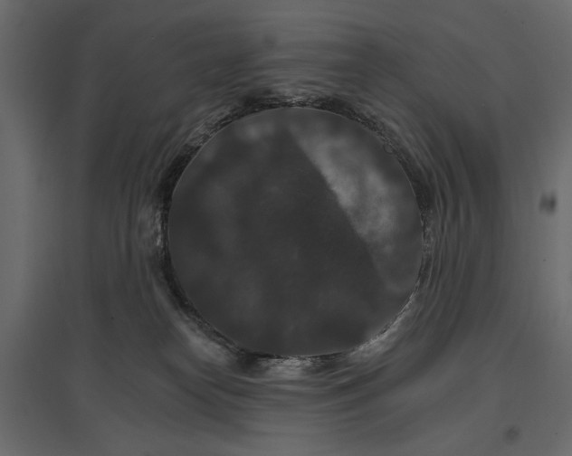 X0000096970182200803071015