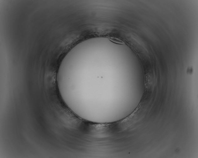 X0000096970184200803071015