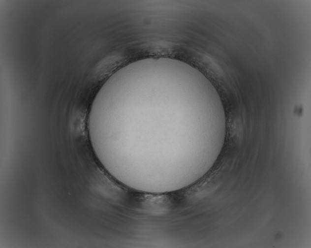 X0000096970185200803071015