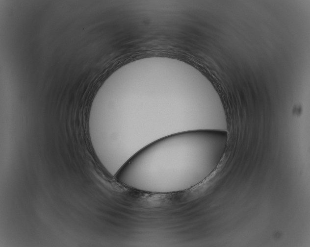 X0000096970186200803071015