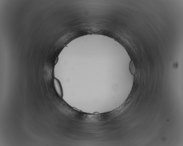 X0000096970188200803071015