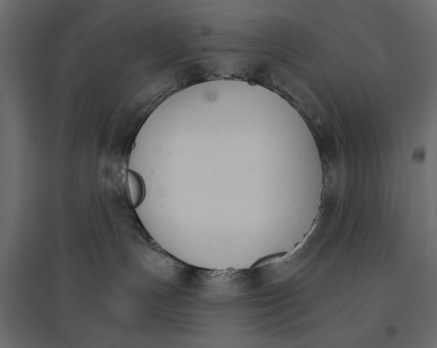 X0000096970191200803071015