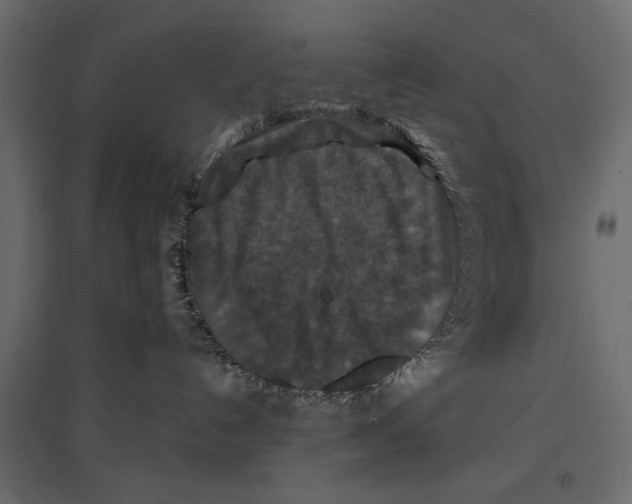 X0000096970192200803071015