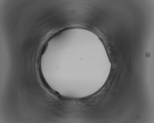 X0000096970193200803071014