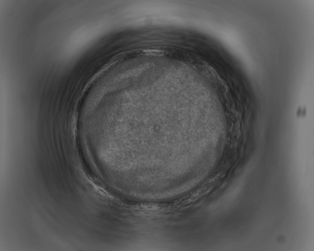 X0000096970194200803071014