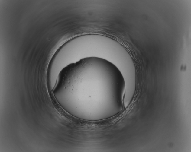 X0000096970195200803071014