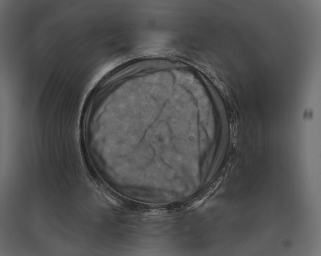 X0000096970196200803071014