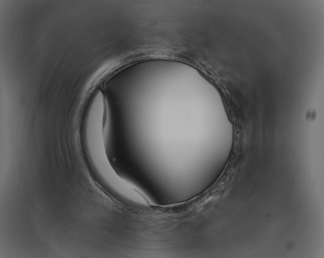 X0000096970197200803071014