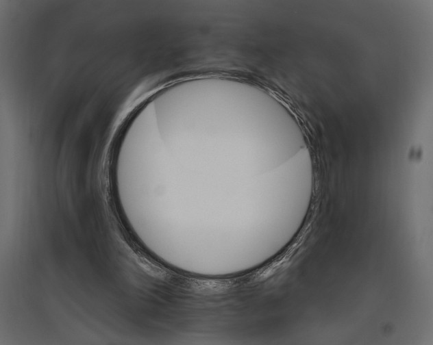 X0000096970198200803071014