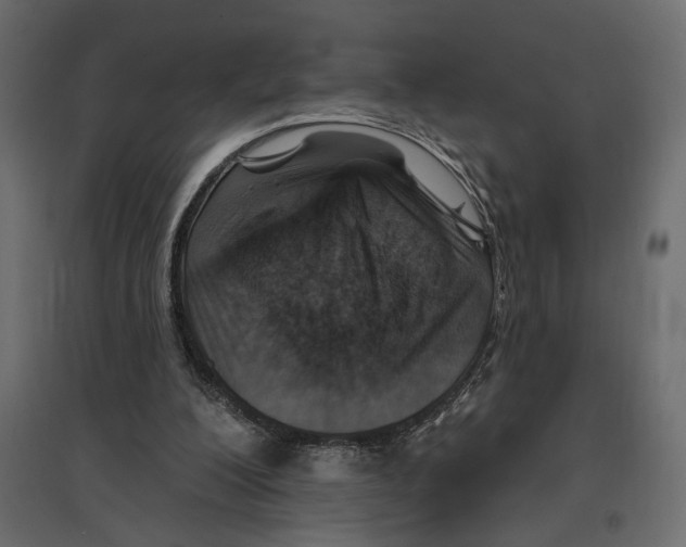 X0000096970200200803071014