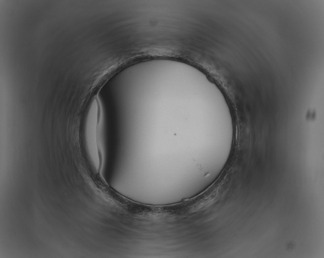 X0000096970201200803071014