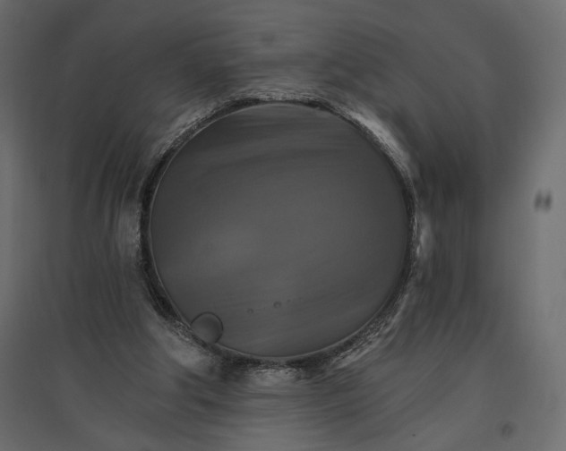 X0000096970202200803071014