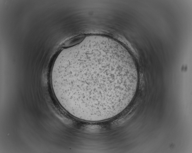 X0000096970203200803071014